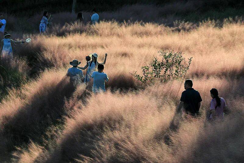 【曝光台】打卡拍照<strong></p>
<p>通源石油股票</strong>，再美也不能用生命对焦