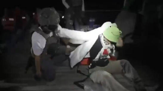 以色列外交部：“环保少女”通贝里和其<strong></p>
<p>罗平锌电股票</strong>他170名活动人士已被驱逐出境