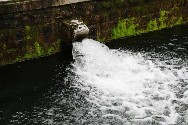秋色满城 历下有约丨护城河畔美出圈<strong></p>
<p>罗平锌电股票</strong>!解锁历下限定秋日浪漫