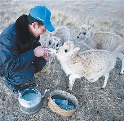 生态文明建设实现新进步（新时代画卷·决战决胜“十四五”）