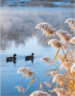 寒露遇雨!北京开启湿冷魔法攻击<strong></p>
<p>国旅联合股票</strong>,防雨保暖安排上(2025-10-8)