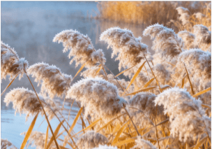 寒露遇雨!北京开启湿冷魔法攻击<strong></p>
<p>国旅联合股票</strong>,防雨保暖安排上(2025-10-8)