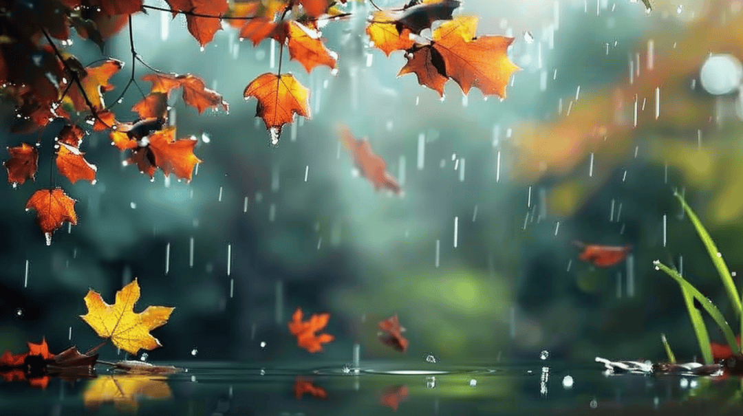 寒露遇雨!北京开启湿冷魔法攻击<strong></p>
<p>国旅联合股票</strong>,防雨保暖安排上(2025-10-8)