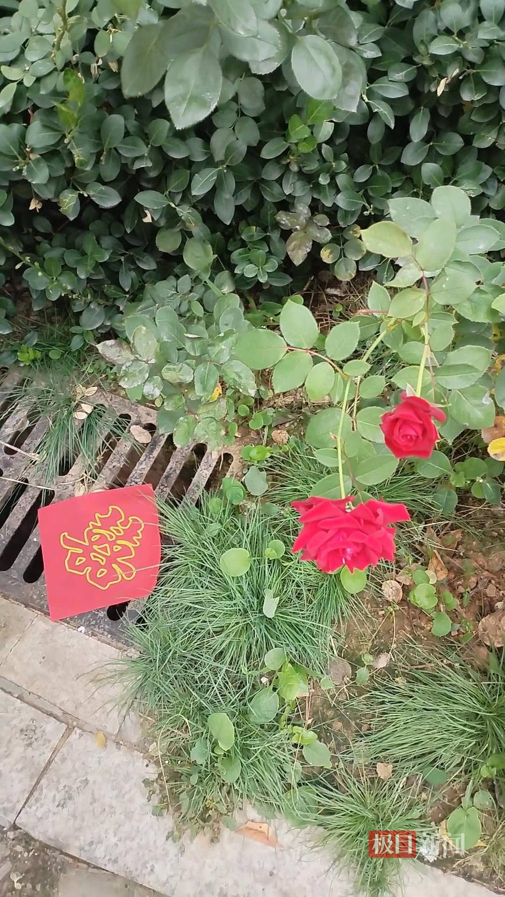 山西婚礼要在下水道井盖贴“喜”字？有的井盖被贴了8张<strong></p>
<p>国旅联合股票</strong>，当地居民：寓意不踩坑、驱晦迎喜