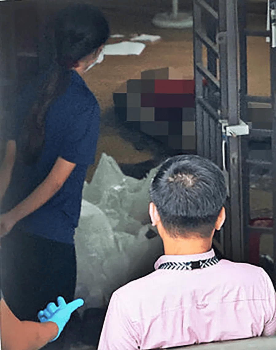 新加坡现双尸案:父亲成白骨<strong></p>
<p>鲁信创投股票</strong>,剑桥博士女儿疑饿死,一家来自东北