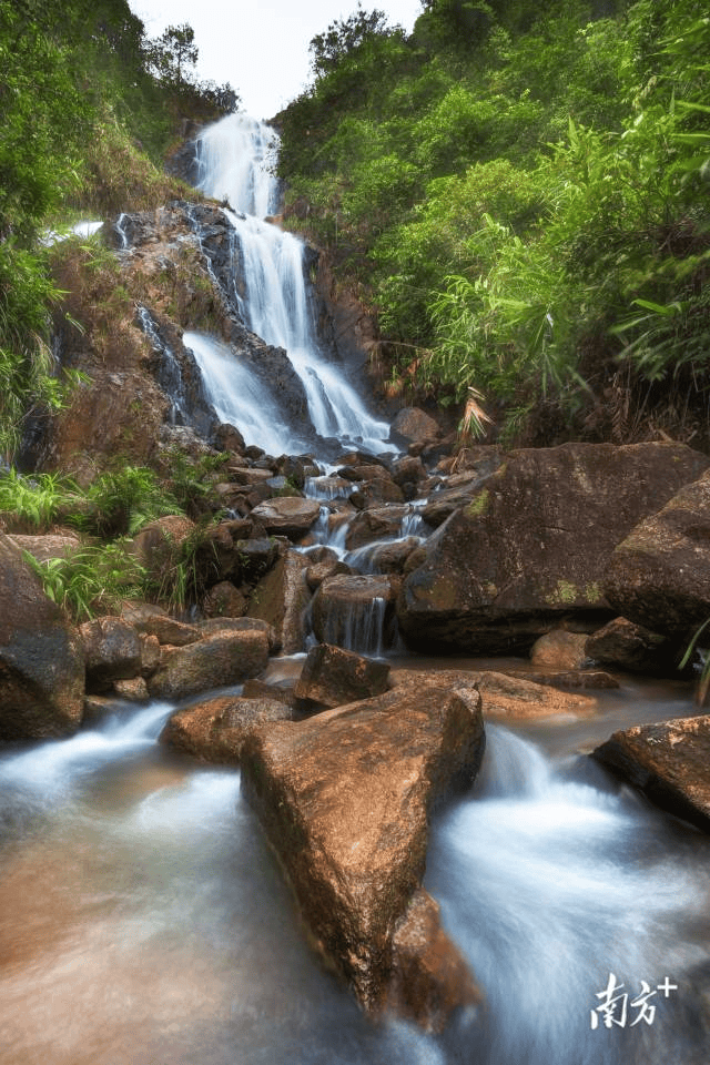 镇街周报｜佛山“双节”文旅成绩单出炉<strong></p>
<p>中国嘉陵股票</strong>，谁最吸睛
