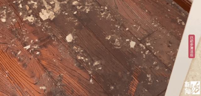 上海一业主推开家门瞬间懵了<strong></p>
<p>中国嘉陵股票</strong>！精装房竟成“化粪池”……