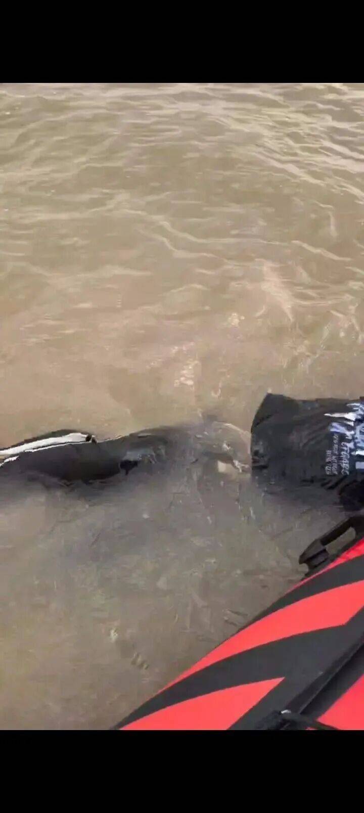 230斤重小伙酒后落水<strong></p>
<p>中国嘉陵股票</strong>，漂浮7小时终获救……