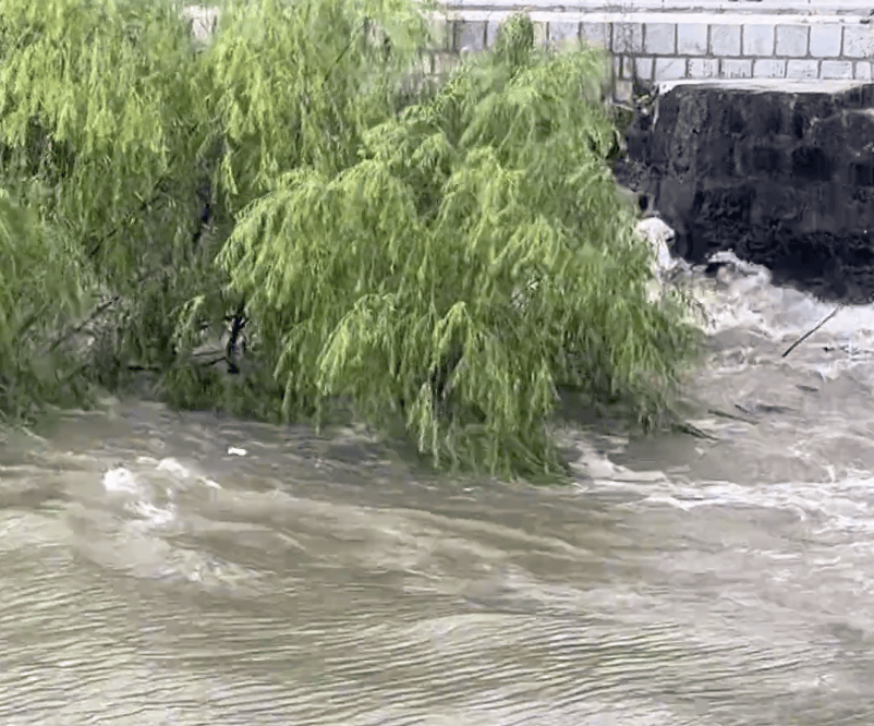 230斤重小伙酒后落水<strong></p>
<p>中国嘉陵股票</strong>，漂浮7小时终获救……