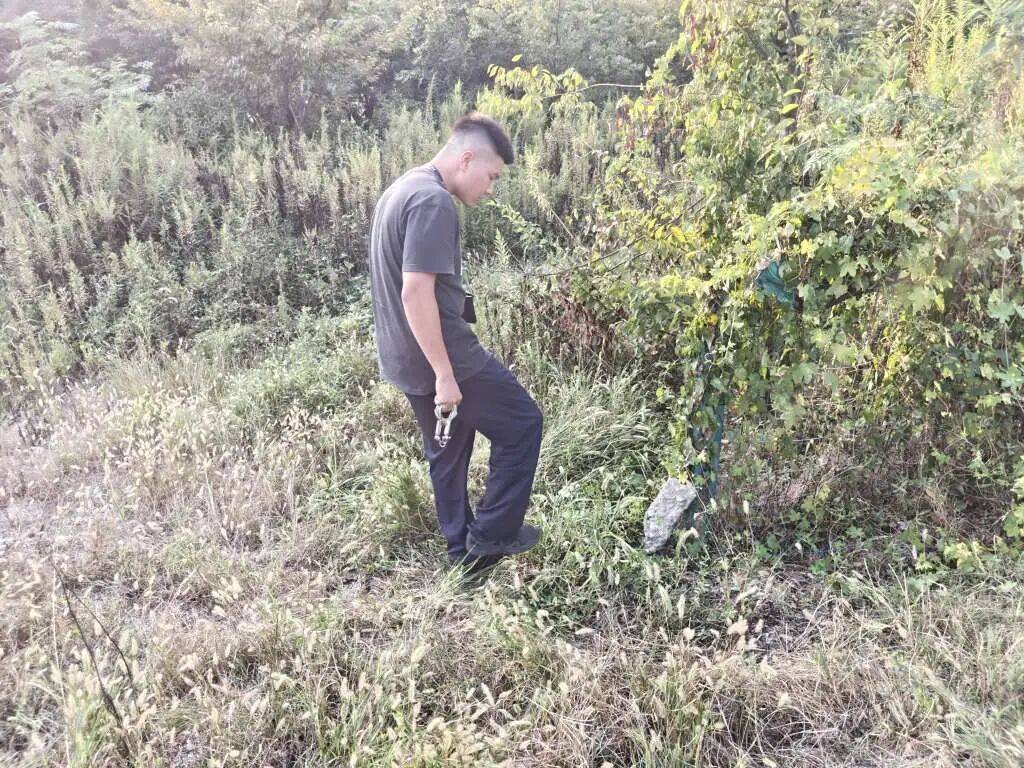 浙江一姑娘以奶茶为记号<strong></p>
<p>杭齿前进股票</strong>，竟然在草丛里藏了11万现金！