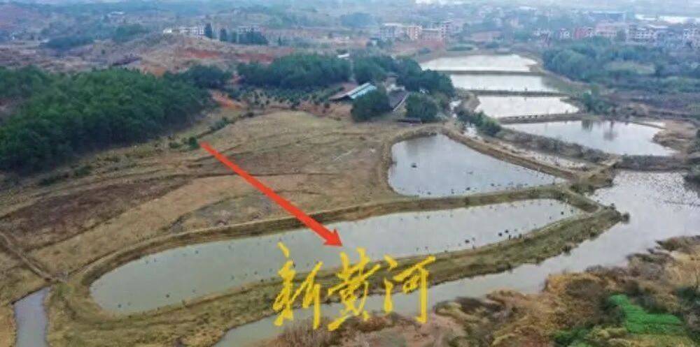 65岁农妇荒塘养鱼被判“非法占用农地”：羁押10月后免刑<strong></p>
<p>杭齿前进股票</strong>，仍喊“我没罪”