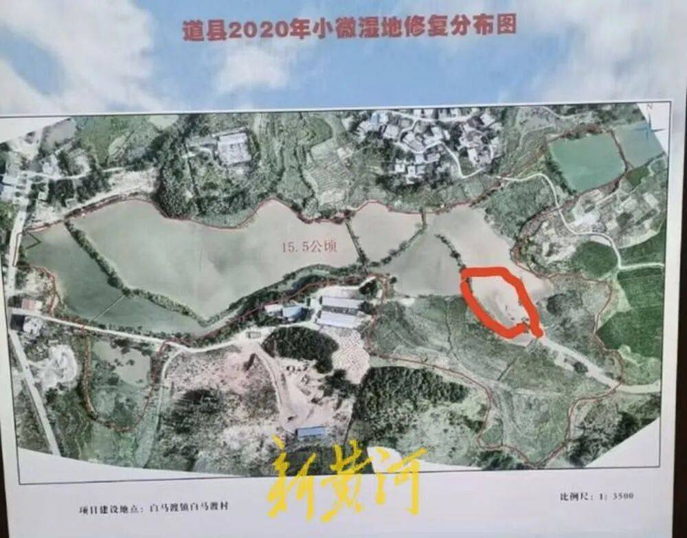 65岁农妇荒塘养鱼被判“非法占用农地”：羁押10月后免刑<strong></p>
<p>杭齿前进股票</strong>，仍喊“我没罪”