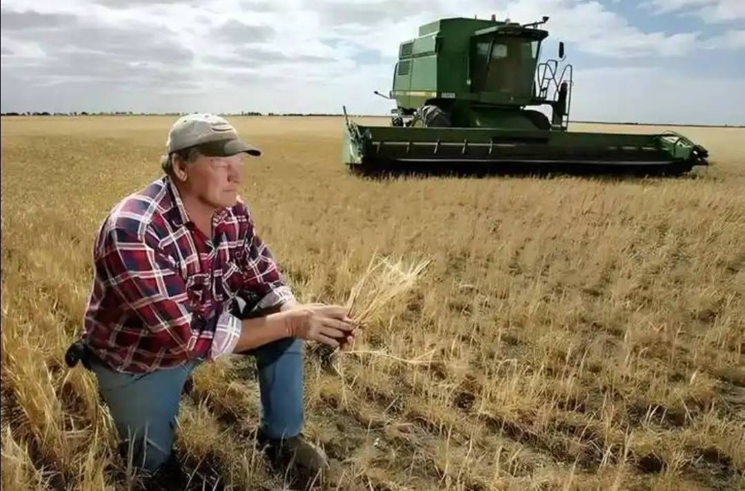 稀土卡脖子<strong></p>
<p>宏达高科股票</strong>,美方军工企业停摆!美财长喊话:开出取消关税的条件,美农户输惨了