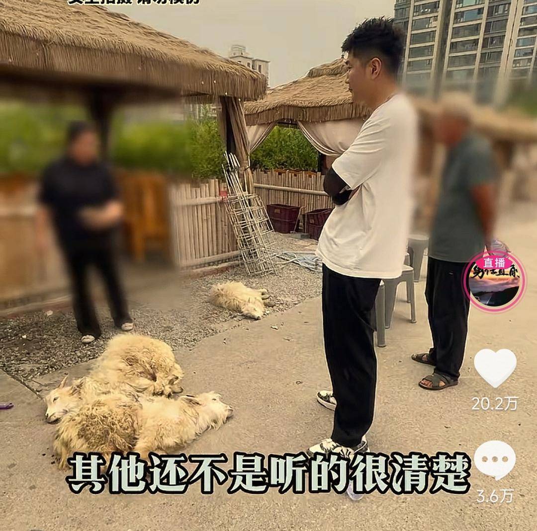 60斤活羊实际只有30多斤<strong></p>
<p>皇氏乳业股票</strong>!博主打假重庆两家烤全羊店获“退一赔三”