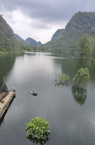 百色多个村庄被困水中已超半月<strong></p>
<p>皇氏乳业股票</strong>,长涝难退为何重演?