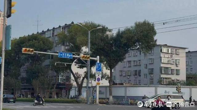 济南街头“恐龙树”走红<strong></p>
<p>皇氏乳业股票</strong>,园林部门:形态天成,或随天气而变