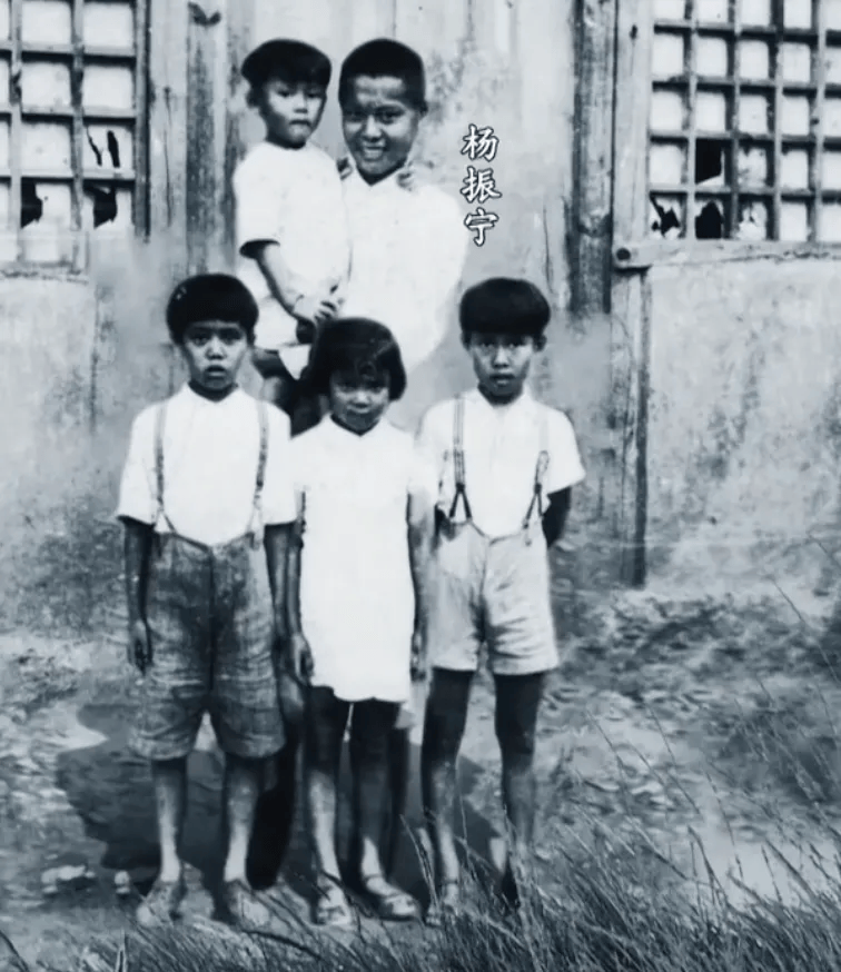 103岁杨振宁去世<strong></p>
<p>000552股票</strong>,象牙塔倒塌