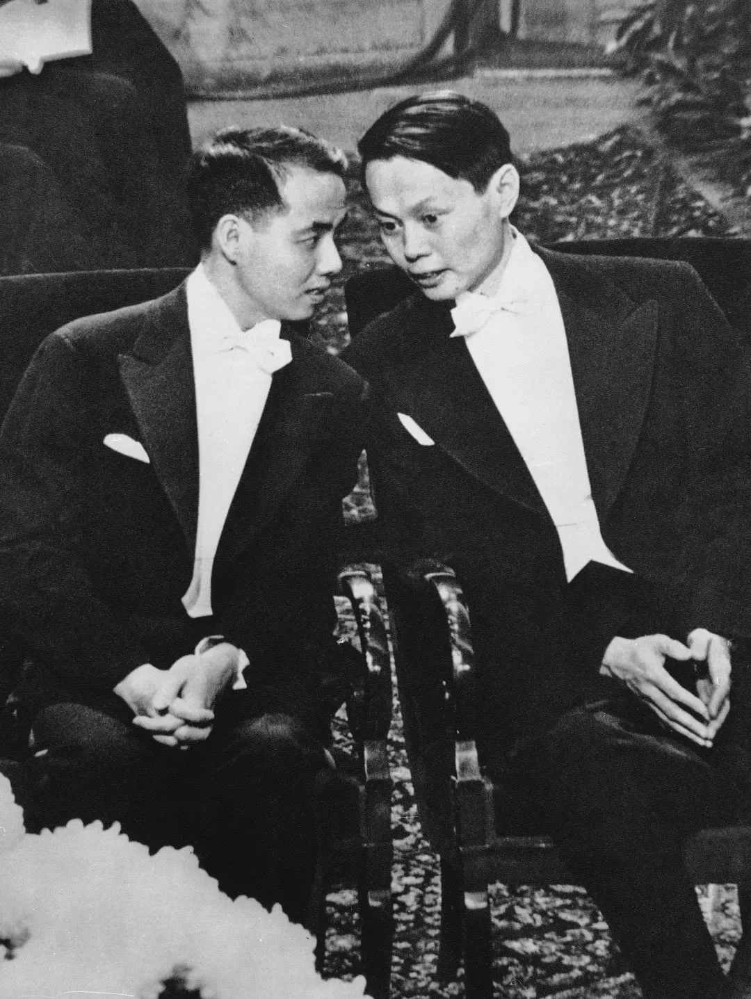 103岁杨振宁去世<strong></p>
<p>000552股票</strong>,象牙塔倒塌