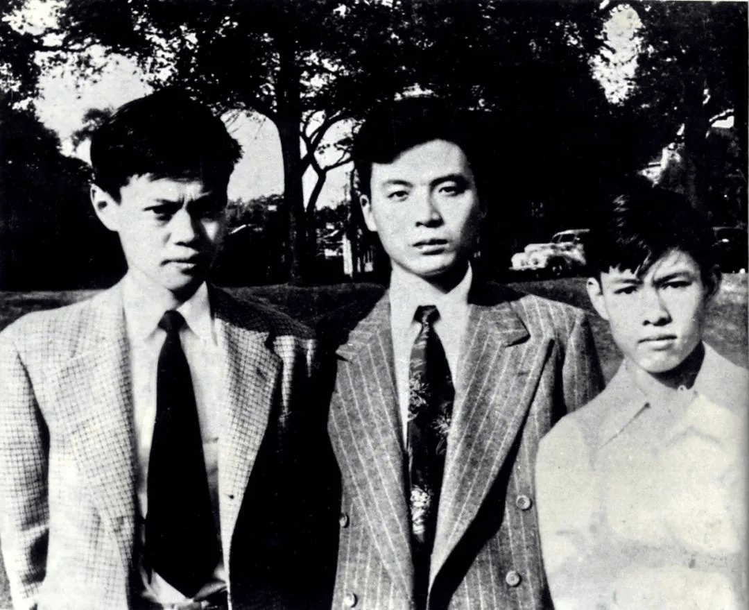 103岁杨振宁去世<strong></p>
<p>000552股票</strong>,象牙塔倒塌