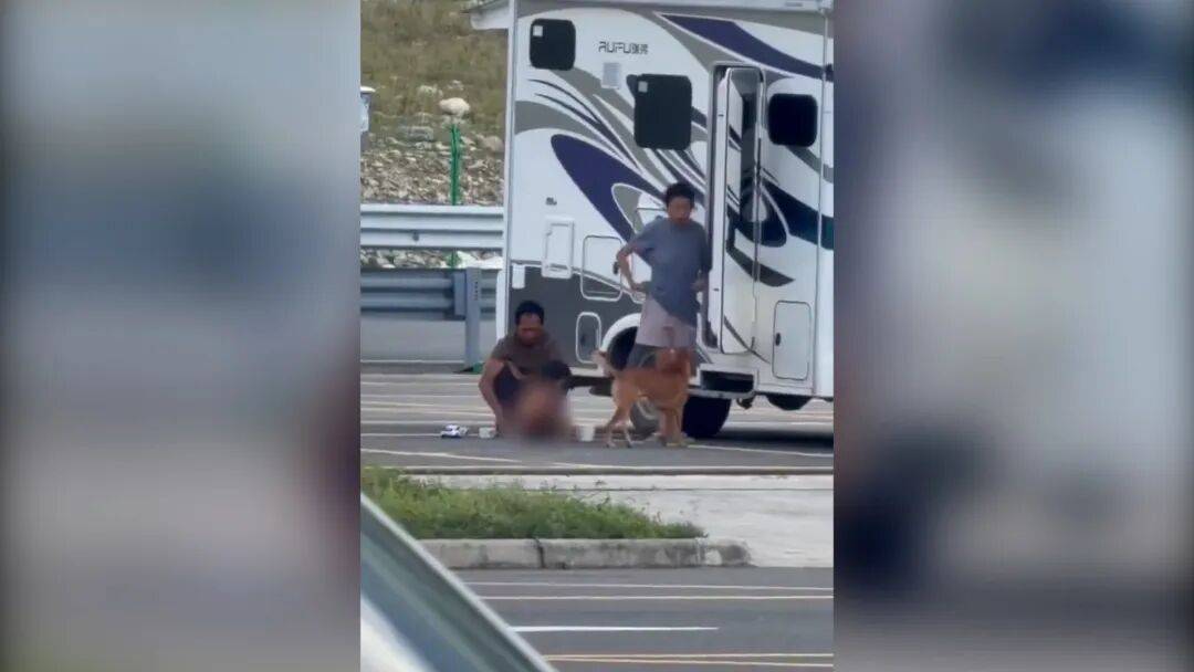 村民:“野人小孩”父亲上山“灵修”后就不正常<strong></p>
<p>600740股票</strong>了