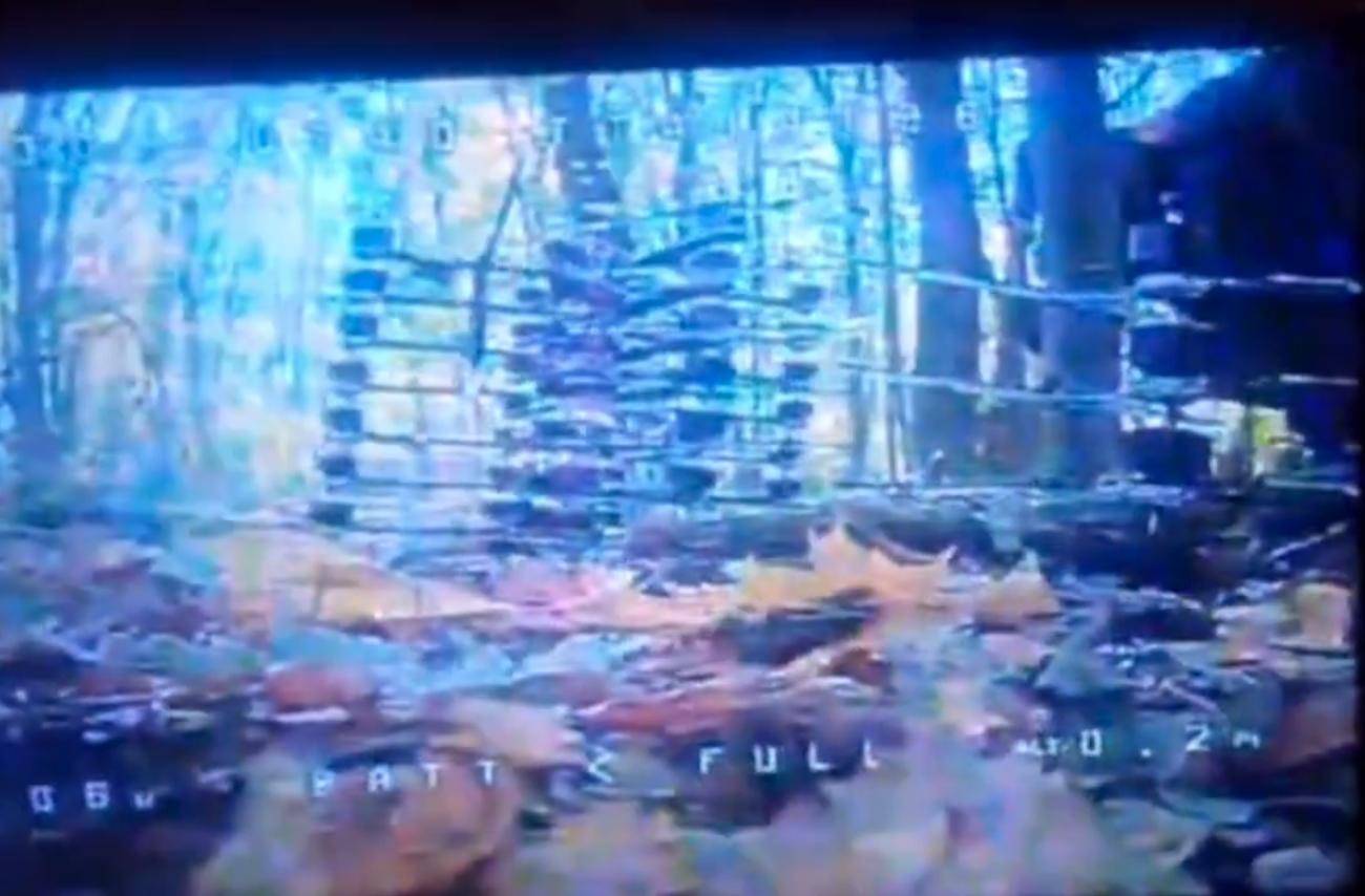 1万朝鲜特种兵凭空消失？苏梅全线告急<strong></p>
<p>600740股票</strong>，乌克兰截获绝密前线情报