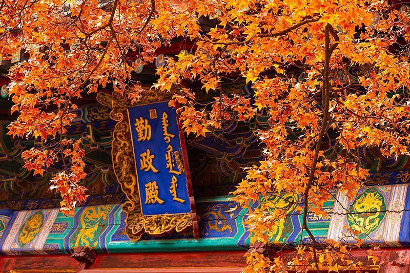 霜降已到<strong></p>
<p>600303股票</strong>，全国红叶上线中！这些“出片宝地”藏不住了