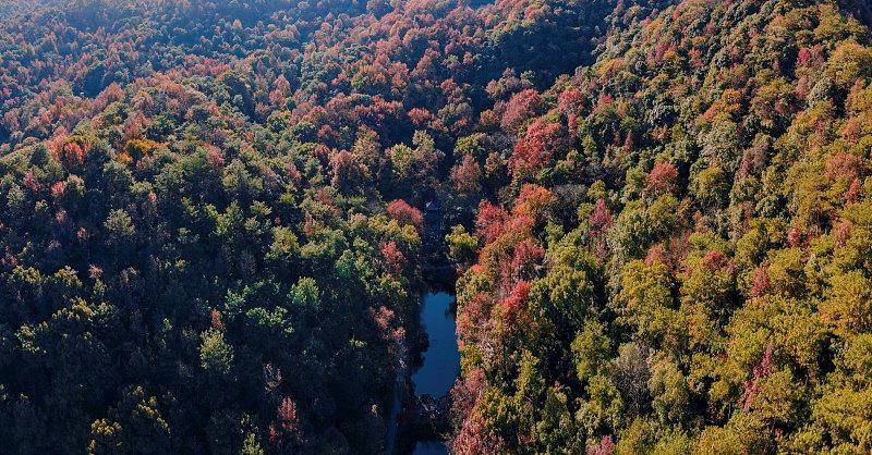 霜降已到<strong></p>
<p>600303股票</strong>，全国红叶上线中！这些“出片宝地”藏不住了