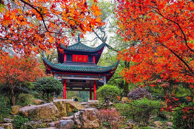 霜降已到<strong></p>
<p>600303股票</strong>，全国红叶上线中！这些“出片宝地”藏不住了