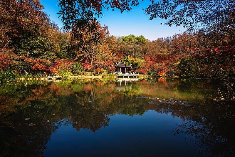 霜降已到<strong></p>
<p>600303股票</strong>，全国红叶上线中！这些“出片宝地”藏不住了