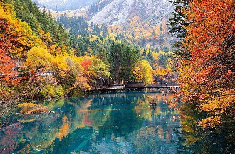 霜降已到<strong></p>
<p>600303股票</strong>，全国红叶上线中！这些“出片宝地”藏不住了