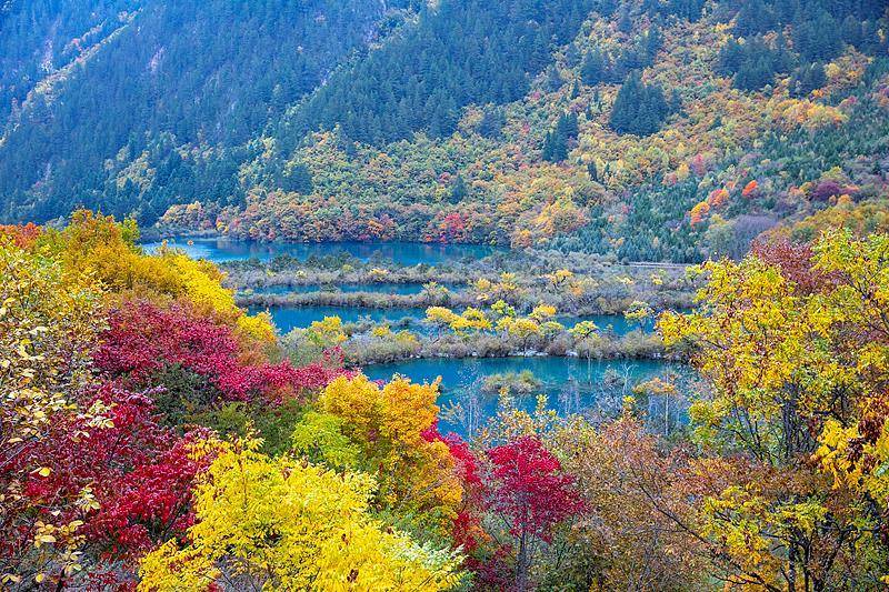 霜降已到<strong></p>
<p>600303股票</strong>，全国红叶上线中！这些“出片宝地”藏不住了