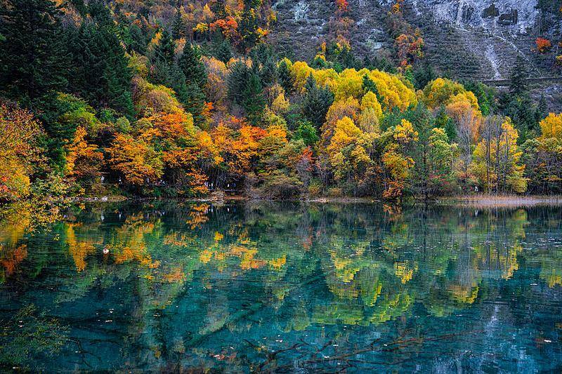 霜降已到<strong></p>
<p>600303股票</strong>，全国红叶上线中！这些“出片宝地”藏不住了