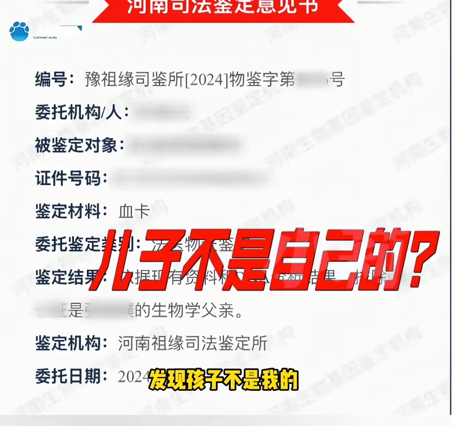 "天塌了<strong></p>
<p>顺丰股票002352</strong>，我一生都毁了", 男子称养了20年才发现儿子非亲生！前妻坚决否认