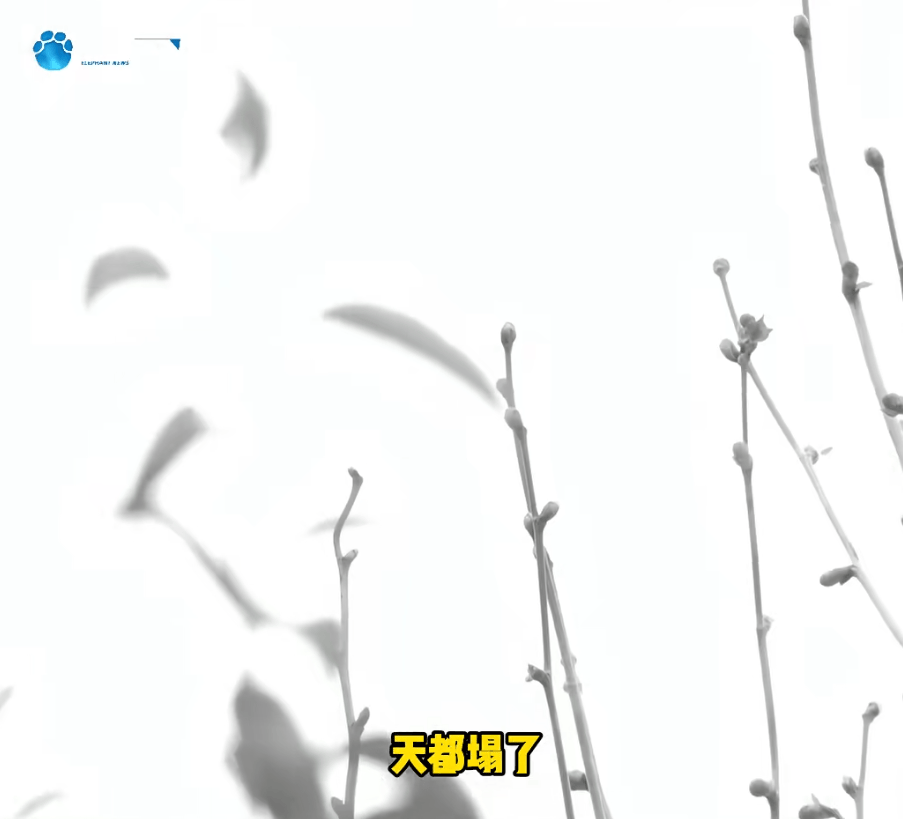 "天塌了<strong></p>
<p>顺丰股票002352</strong>，我一生都毁了", 男子称养了20年才发现儿子非亲生！前妻坚决否认