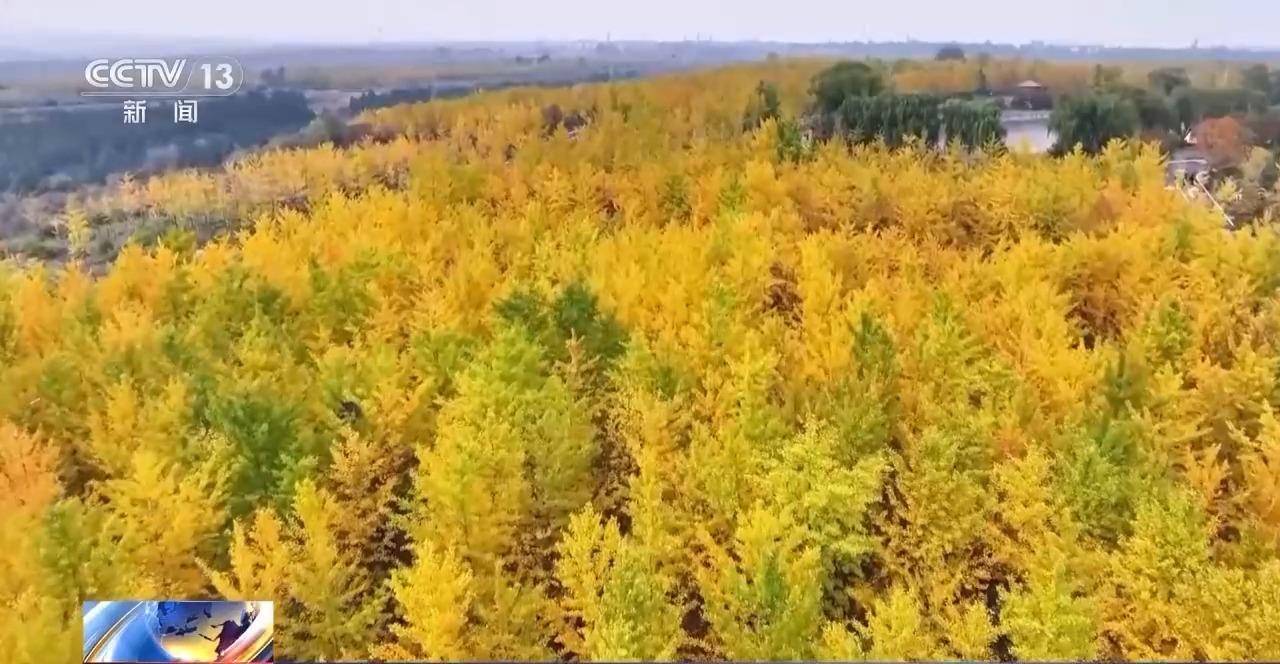 多地秋天“迟到早退” 秋季为何越来越短了<strong></p>
<p>亚马逊股票股价实时行情</strong>？