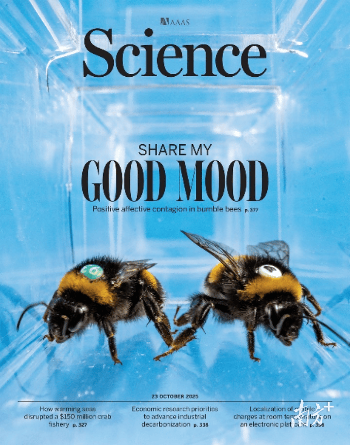 人类如何“读懂”大黄蜂的“感同身受”<strong></p>
<p>股票新闻</strong>？