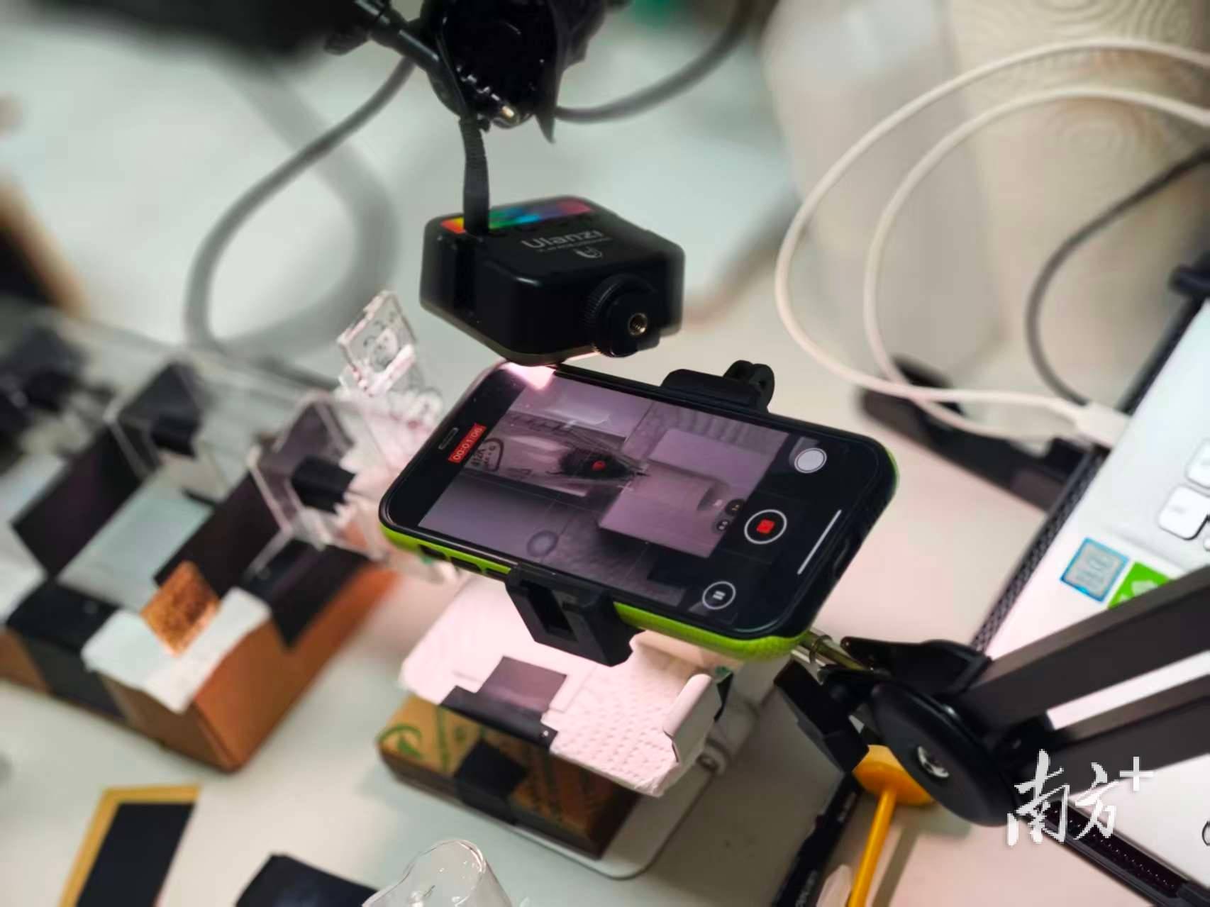 人类如何“读懂”大黄蜂的“感同身受”<strong></p>
<p>股票新闻</strong>？