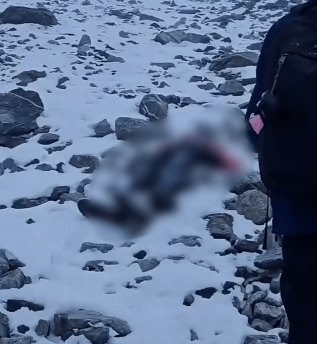 “奇迹没有发生”！确认遇难<strong></p>
<p>白银股票</strong>，才25岁！