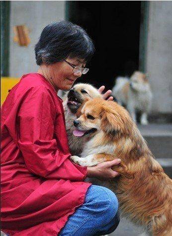 合肥卖房救助流浪狗的魏阿姨离世<strong></p>
<p>股票知识入门</strong>,病中仍然惦记着基地的600只流浪狗,工人:不敢相信世上还有这样执着的人