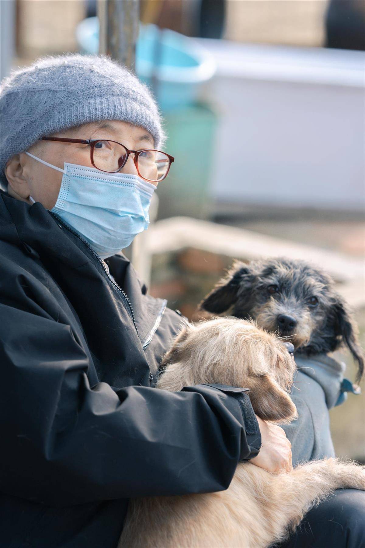 合肥卖房救助流浪狗的魏阿姨离世<strong></p>
<p>股票知识入门</strong>,病中仍然惦记着基地的600只流浪狗,工人:不敢相信世上还有这样执着的人