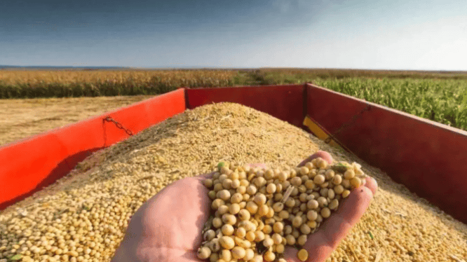 中方履约复购美国大豆<strong></p>
<p>连云港股票</strong>,美却偷偷续 301 调查埋雷,特朗普政府直言:没占便宜就是吃亏,心态太流氓!