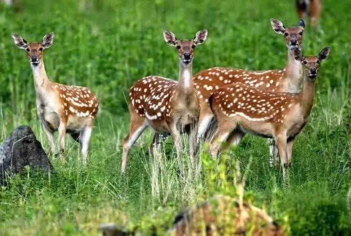 禁止任何形式穿越<strong></p>
<p>连云港股票</strong>!杭州一地发布最严禁令