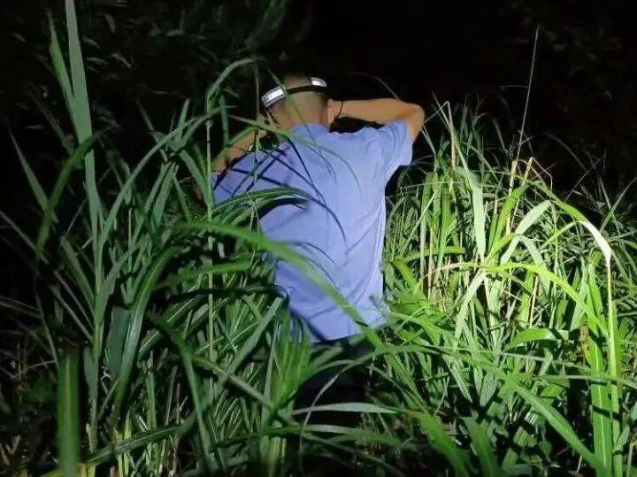 禁止任何形式穿越<strong></p>
<p>连云港股票</strong>!杭州一地发布最严禁令