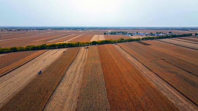 早八条丨春节假期共9天 2026年放假安排来了<strong></p>
<p>连云港股票</strong>!/长春市2025年“回长人才创业激励项目”申报启动