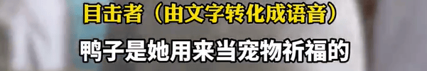 养了四年的宠物鸭被汽车碾死<strong></p>
<p>东吴证券股票</strong>,老太太当街包鸭痛哭,目击者:她老伴重病,鸭子是用来祈福的