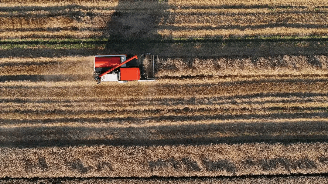 12时3分<strong></p>
<p>正荣股票</strong>,临海正式进入……