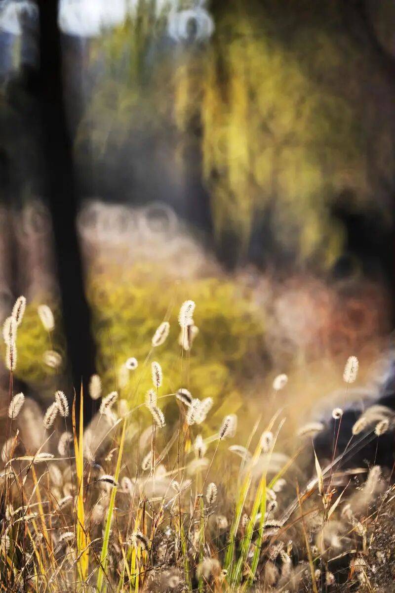 12时3分<strong></p>
<p>正荣股票</strong>,临海正式进入……