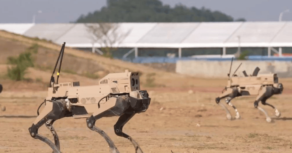 解放军“机器狼”投入台海<strong></p>
<p>上海能源股票</strong>，集群抢滩动作丝滑